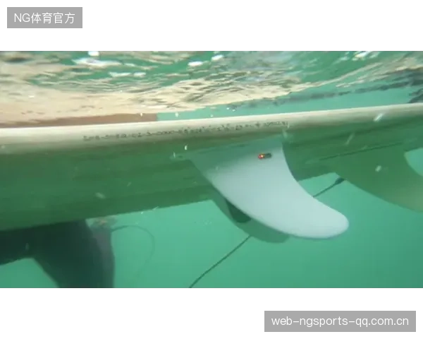 冲浪新时代！环保材料系列引领潮流赢得市场热捧