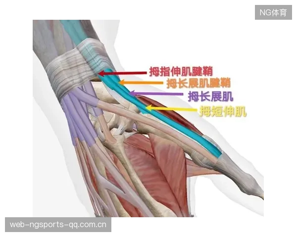 运动康复技术与保险结合降低运动风险成本